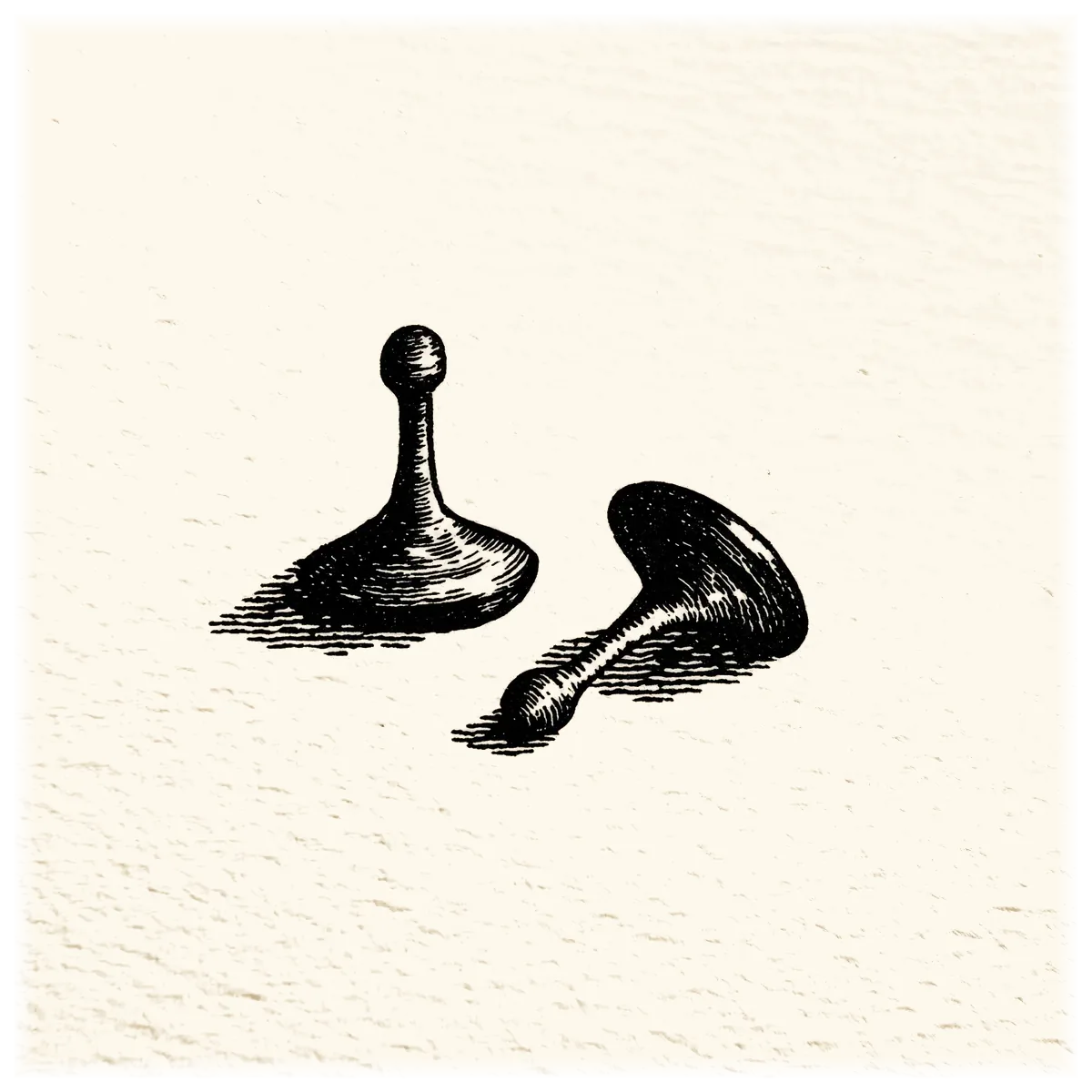 Sibling conflict illustration